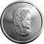 Canada 5 Dollars Predator Series - Lynx 2017 ELIZABETH 5 DOLLARS II D ∙ G ∙ REGINA coin obverse
