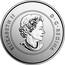 Canada 5 Dollars Proudly Canadian Glow in the Dark 2017 Specimen ELIZABETH II D ∙ G ∙ REGINA coin obverse