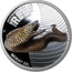 Australia 50 Cents Australian Sea Life - Moray Eel 2010 KM# 1389 AUSTRALIAN SEA LIFE THE REEF MORAY EEL P WR coin reverse