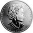 Canada 50 Dollars Magnificent Maple Leaves 2020 ELIZABETH II D G REGINA 50 DOLLARS coin obverse