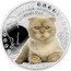 Niue 1 Dollar (Scottish Fold) KOT SZKOCKI ZWISŁOUCHY SCOTTISH FOLD coin reverse