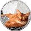 Niue 1 Dollar (Somali Cat) SOMALI CAT KOT SOMALIJSKI coin reverse