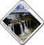 Niue One Dollar (Iguazu) IGUAZU BRAZIL ARGENTINA coin reverse