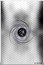 Niue One Dollar (Star Trek. The Measure of a Man) ELIZABETH II NIUE ONE DOLLAR IRB 2018 5GM .999 FINE SILVER coin obverse