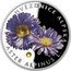 Niue 1 Dollar (Alpine Aster) HVĚZDNICE ALPSKÁ MD ASTER ALPINUS L. coin reverse