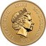 Niue 250 Dollars (Yellow Snake) ELIZABETH II NIUE 250 DOLLARS IRB 2020 coin obverse