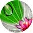 Niue Two Dollars (Lotus Effect) THE LOTUS EFFECT SILVER 999 1 OZ coin reverse