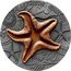 Niue Two Dollars (Starfish) WORLD OF FOSSILS STARFISH coin reverse