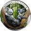 Australia 1 Dollar Koala. Coloured 2011 P In Sets only AUSTRALIAN KOALA 2011 1 OZ 999 SILVER coin reverse