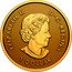 Canada 1 Dollar Maple leaf 2023 in set SB ELIZABETH II D G REGINA 1 DOLLAR. coin obverse