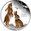 Australia 1 Dollar (Year of the Rabbit. Coloured) 兔 RABBIT 2023 P coin reverse