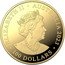 Australia 100 Dollars (Australian Box Jellyfish) JC ELIZABETH II AUSTRALIA 2023 100 DOLLARS coin obverse