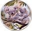 Australia 2 Dollars Koalas in colour 2018 P In Sets only P coin reverse
