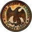 USA Twenty Cents Liberty at Seashore Pattern 1875  UNITED STATES OF AMERICA TWENTY CENTS coin reverse