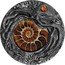 Niue 5 Dollars (Ammonites) AMMONITE coin reverse