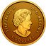 Canada 5 Dollars Maple leaf 2023 in set SB ELIZABETH II D G REGINA 5 DOLLARS coin obverse
