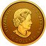 Canada 50 Dollars Maple leaf 2023 in set SB ELIZABETH II D G REGINA 50 DOLLARS coin obverse