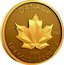 Canada 50 Dollars Maple leaf 2023 in set CM 2023 CANADA 9999 FINE GOLD 1 OZ OR PUR coin reverse