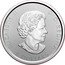 Canada 8 Dollars Bald Eagle 2020  Bullion ELIZABETH II D G REGINA 8 DOLLARS coin obverse