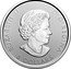 Canada 8 Dollars Goshawk 2021  Bullion ELIZABETH II D G REGINA 8 DOLLARS coin obverse