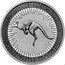 Australia 100 Dollars Kangaroo. Elizabeth II 2023 P P AUSTRALIAN KANGAROO 2023 1 OZ 9995 PLATINUM coin reverse