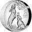Australia 1 Dollar Year of the Rabbit. High Relief 2023 兔 RABBIT 2023 P coin reverse