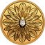Canada 200 Dollars (Forevermark Black Label Diamond. Oval) ELIZABETH II D G REGINA CANADA 2021 200 DOLLARS coin obverse
