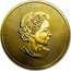 Canada 5 Dollars (Grizzly) ELIZABETH II 5 DOLLARS D G REGINA SB 2019 coin obverse