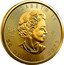 Canada 50 Dollars Maple Leaf. Transitional Obverse 2023  Bullion with radial lines ELIZABETH II 1952 2022 50 DOLLARS 2023 coin obverse
