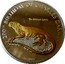 Samoa 10 Tala Galapagos Iguana 2009 Proof KM# 206 200TH BIRTHDAY OF CHARLES DARWIN THE GALAPAGOS IGUANA 2009 coin reverse