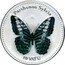 Vanuatu 10 Vatu (Parthenos Sylvia) PARTHENOS SYLVIA 10 VATU CCC coin reverse