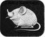 Samoa 2 Dollars (Round-Eared Sengi - Yang. Black Proof) ROUND-EARED SENGI 2021 coin reverse