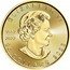Canada 20 Dollars (Transition Obverse. Maple Leaf) 2023 ELIZABETH II 20 DOLLARS 1952 2022 coin obverse