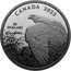 Canada 30 Dollars (Vantage Point - Bald Eagle by Robert Bateman) 30 DOLLARS CANADA 2023 coin reverse