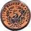 USA 5 Cents (Nalf Dime Pattern. Copper) UNITED STATES OF AMERICA 5 coin reverse