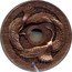 Samoa 50 Cents (Everything Goes Well Metal)  coin reverse