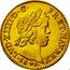 France Louis D'or Louis XIV 1644 A KM# 149.1 LVD XIIII D G FR ET NAV REX 1643 coin obverse