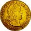 France Louis D'or Louis XIV 1651 D KM# 149.2 LVD XIIII D G FR ET NAV REX 1652 coin obverse