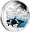 Australia 1 Dollar Killer Whale 2011 KM# 1565 2011: KILLE WHALE AUSTRALIAN ANTARCTIC TERRITORY 1 OZ 99.9 SILVER P WR coin reverse