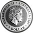 Australia 1 Dollar Koala 2007 ELIZABETH AUSTRALIA 2007 1 DOLLAR coin obverse