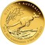 Australia 15 Dollars Discover Australia - Red Kangaroo 2012 KM# 1724 DISCOVER AUSTRALIA 2012 RED KANGAROO 1/10 OZ 9999 GOLD P TV coin reverse