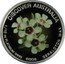 Australia 15 Dollars Geraldton wax 2008 P Proof KM# 1203 DISCOVER AUSTRALIA 1/10 OZ PLATINUM 9995 2008 GERALDTON WAX coin reverse