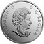 Canada 20 Dollars Sea Star 2017 Proof ELIZABETH II D G REGINA SB coin obverse