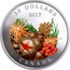 Canada 20 Dollars Sea Star 2017 Proof 20 DOLLARS 2017 CANADA MG coin reverse
