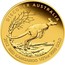 Australia 5 Dollars Red Kangaroo 2012 P Proof KM# 1719 DISCOVER AUSTRALIA 2012 RED KANGAROO 1/25 OZ 9999 GOLD coin reverse