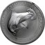 Australia 50 Cents Great Hammerhead Shark 2015 GREAT HAMMERHEAD SHARK 2015 1/2 OZ 999 SILVER P NM coin reverse