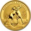 Australia 50 Dollars Australian Kangaroo 2010 KM# 1364 AUSTRALIAN KANGAROO 2010 1/2 OZ 9999 GOLD P WR coin reverse