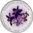 Australia 50 Dollars Black-anther flax lily 2008 Proof KM# 1167 DISCOVER AUSTRALIA 1/2 OZ PLATINUM 9995 2008 BLACK-ANTHER FLAX-LILY coin reverse