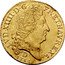 France Louis D'or Louis XIV 1711 D KM# 390.4 LVD XIIII D G FR ET NAV REX 1711 D coin obverse