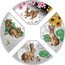 Tuvalu 1 Dollar Set 4x1$ Year of the Rabbit Quadrant 2023 P P NM coin reverse